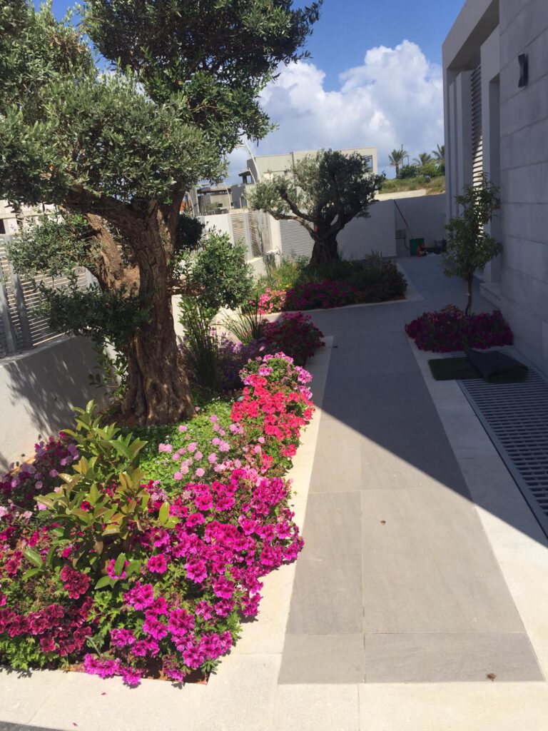 WhatsApp Image 2021-11-24 at 08.52.28 (11)